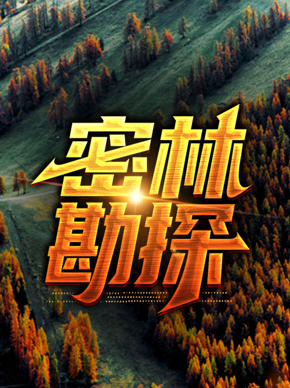 密林探险之旅