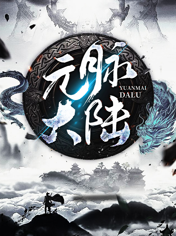 湖南元大陆
