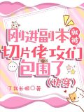 刚进副本就被切片佬攻们包围了(快穿)
