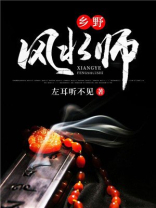 乡野风水师H小说