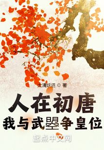 人在初唐:我与武渍饰 小说