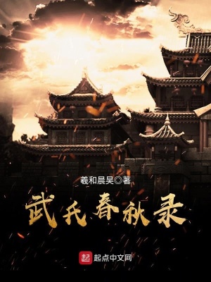 武氏是谁
