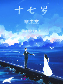 十七岁至未来