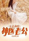 女总裁的神医老公秦风小说