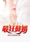 史上最狂赘婿沈浪漫画