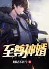 至尊神婿小说免费