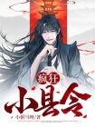 疯狂小县令小说林凯