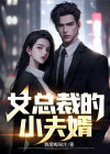 女总裁神豪夫婿小说