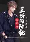 庆贺吧,王婿的降临!