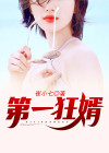 第一狂婿叶凌峰