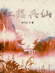 红楼兵仙txt 小说