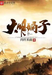 大明嫡子无防盗