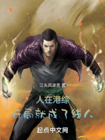 人在港综,开局就成了线人 第221章