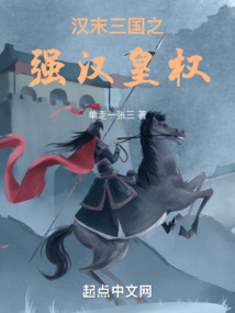 三国之强汉皇权TXT下载