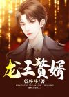 龙王赘婿小说免费阅读