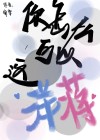 你怎么这么能