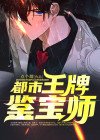 都市神级鉴宝师