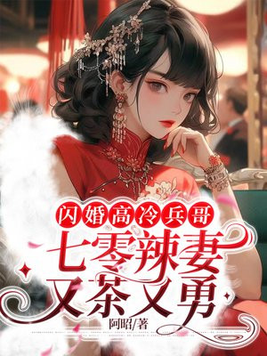 闪婚军人言情现代小说