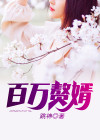 百科赘婿小说