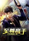 冰山总裁的至尊高手