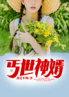 丐世神婿免费阅读