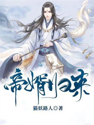 帝婿归来 猫妖路人