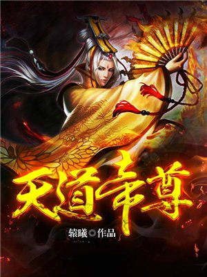 天道帝尊战绩排名