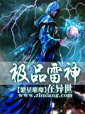 原神雷神极品面板