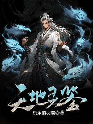 天地灵鉴 小说