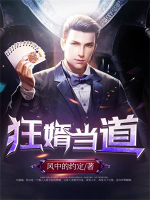狂婿当道免费全文阅读