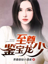 至尊鉴宝龙少