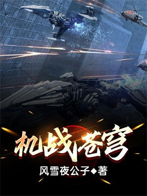 王牌机战紫电苍穹