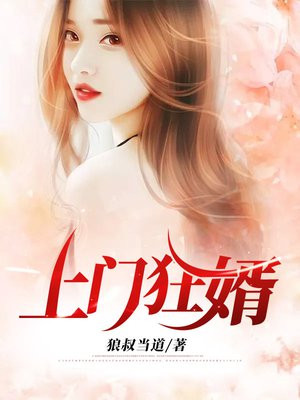 上门狂婿动漫