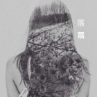 落霜的桑叶的功效与作用