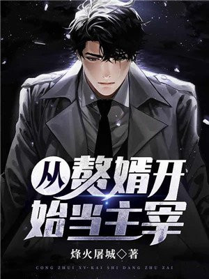 从赘婿小说
