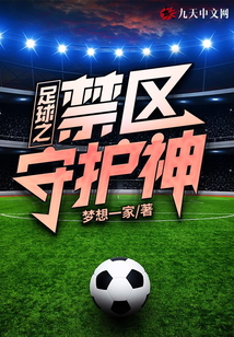 足球 禁区之狐