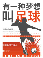 有一种梦想叫足球 小说