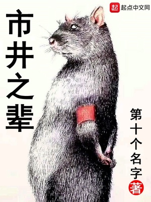 市井之辈好看吗