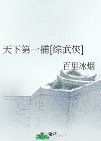 天下第一捕综武侠