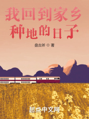 我回到家乡种地的日子TXT下载