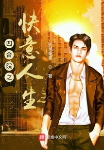 四合院之快意人生小说
