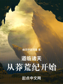 道临八荒 小说