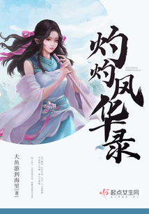 灼灼风华电视剧原著小说