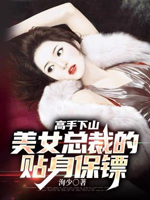 美女总裁贴身高手 小说