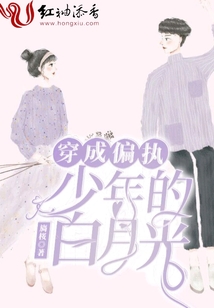 穿成偏执少年的白月光晋江