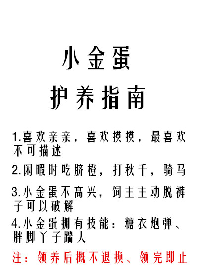 小金蛋护养指南百度网盘