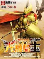 光辉骑士套装