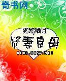 贤妻良母剧情分集介绍