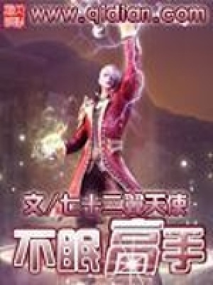 不眠高手 小说