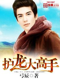护龙高手卫小保演员表